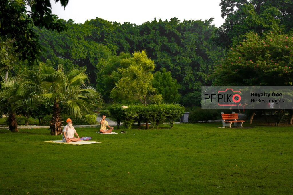 Good vibes in park where aged persons are doing yoga.