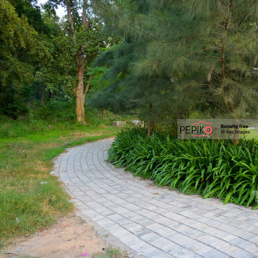 
									Pathway in public park made of grey bricks surrounded by green plants