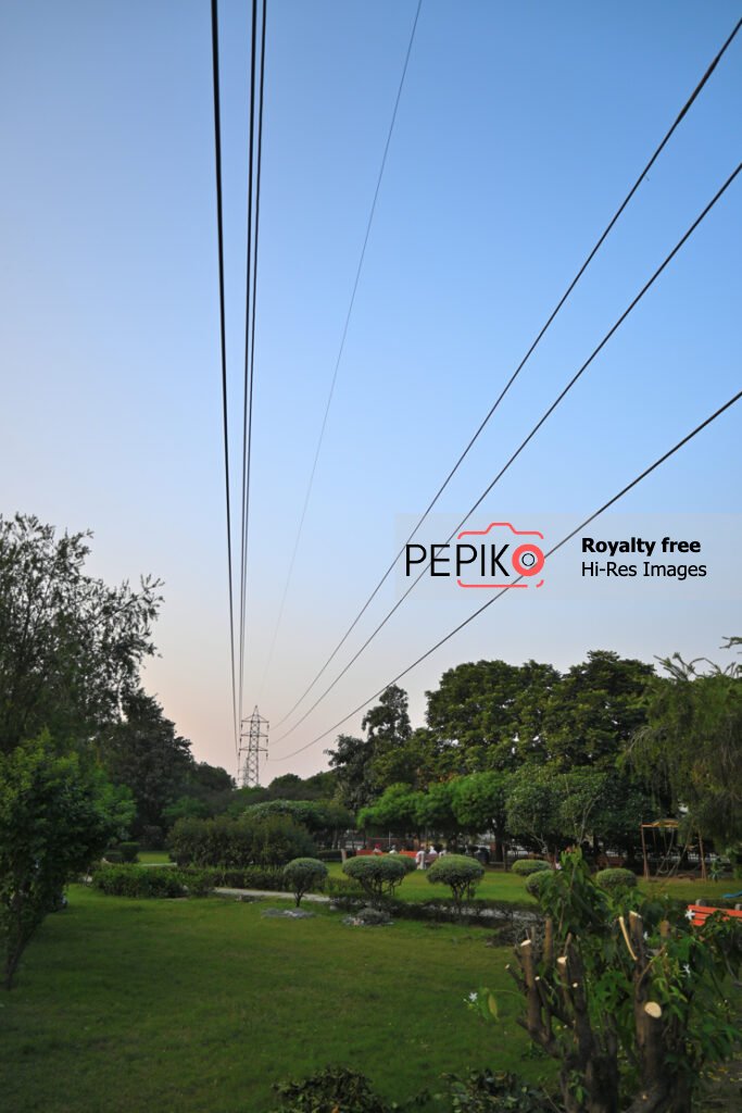 
									Skyscraper electricity tower with high tension wires in park